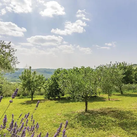 Awesome In Meloni With Sauna Kaldir